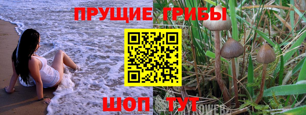 Галлюциногенные грибы мухоморы Оренбург